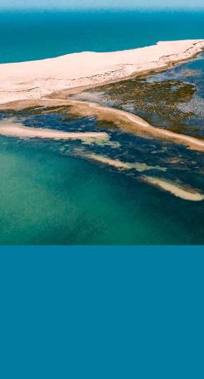 4 - dune flamand 1 PNBA2xpng