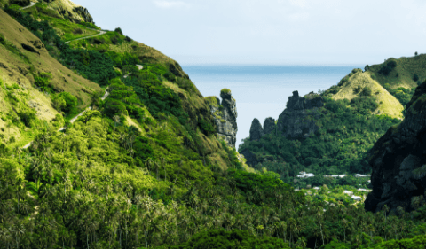 mob-1 - AFD2016_FATU_HIVA-95png copy