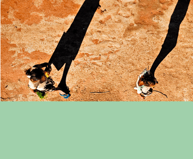 tab-2 - AdaptAction - Rindra Ramasomanana.png